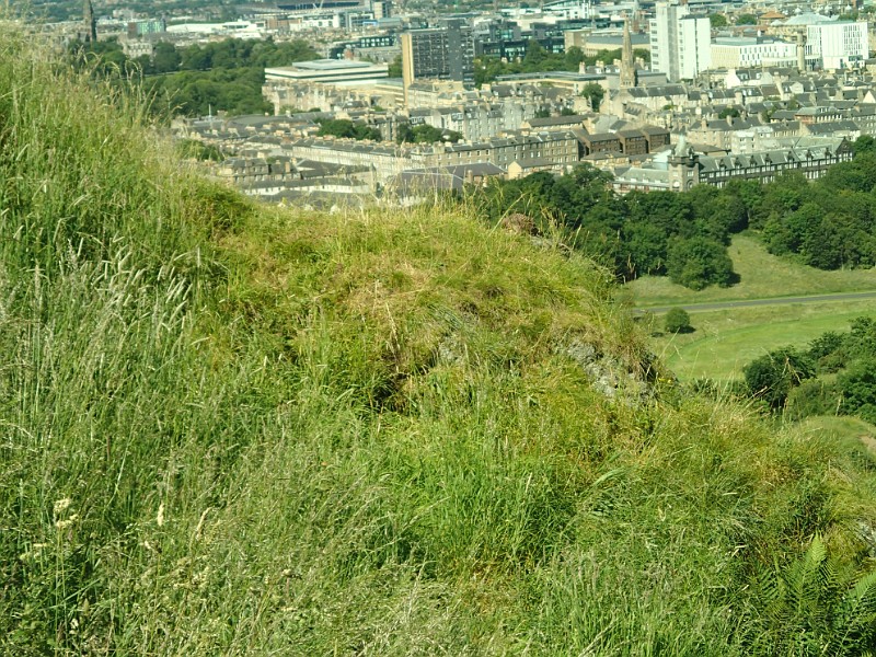 2014 Edinburgh 2014-07-09 069.JPG - Falcon or Hawk, but now I am looking down on it.